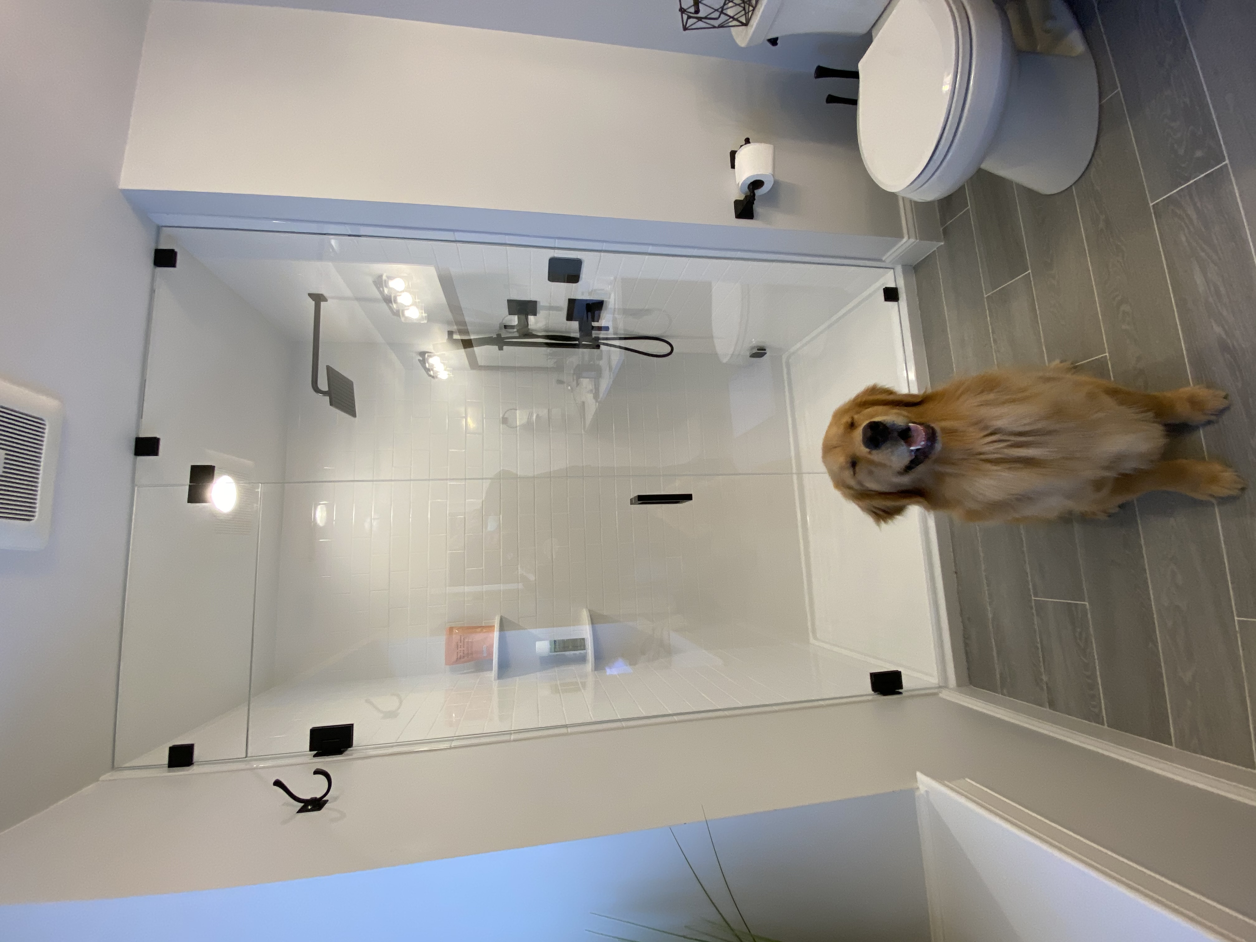 Glass Shower Door Gallery Franklin Glass Company