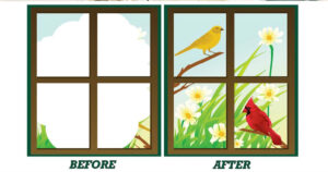 Insulated Glass Window Company in Massachusetts - Social